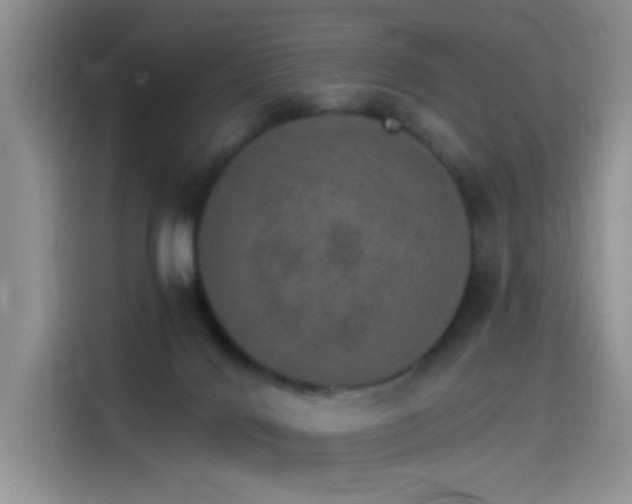 X0000115650028200911171451