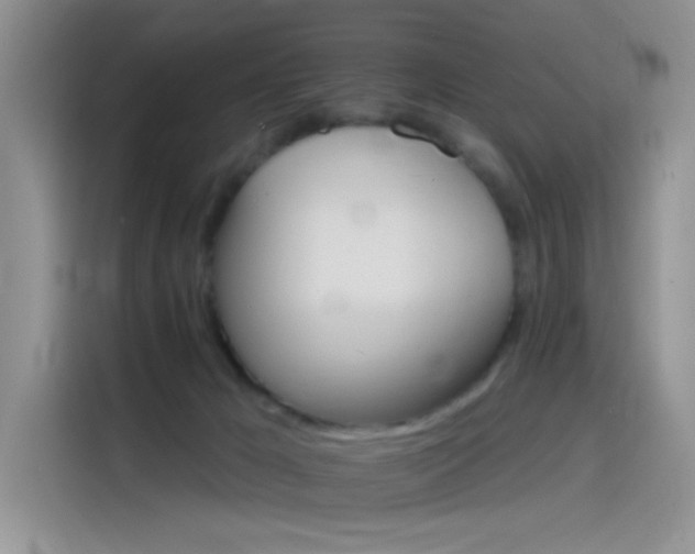 X0000115650029200911171451