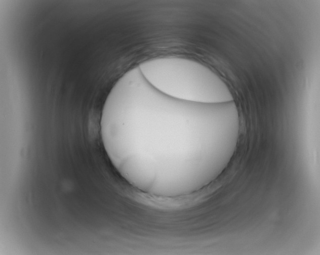 X0000115650030200911171451