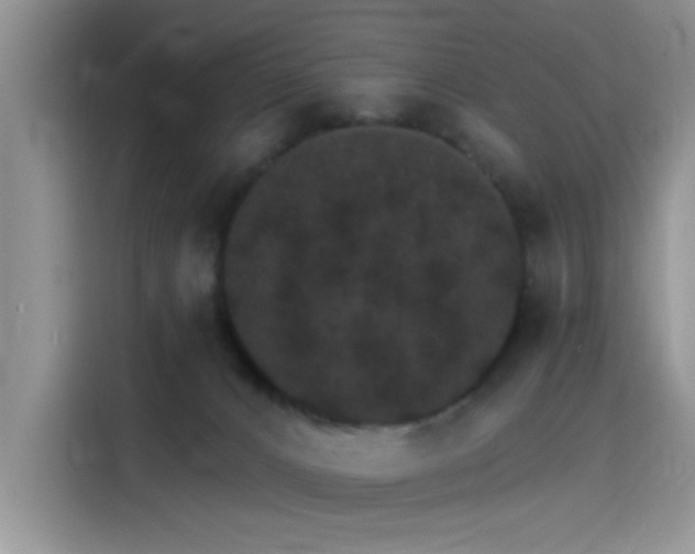 X0000115650032200911171451