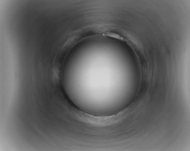 X0000115650035200911171451