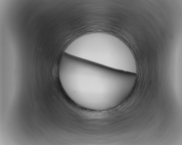 X0000115650036200911171451