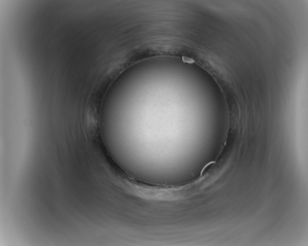 X0000115650040200911171451