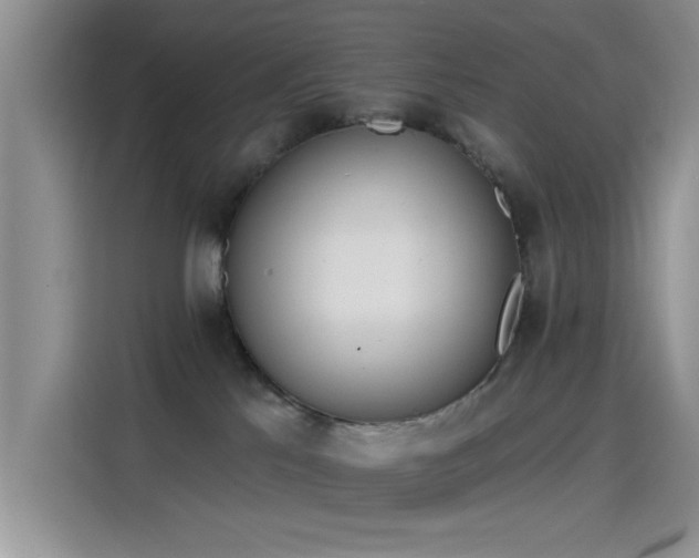 X0000115650041200911171451