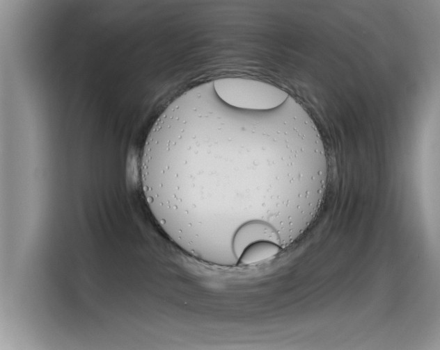 X0000115650042200911171451