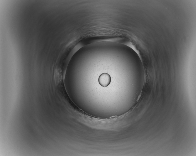 X0000115650043200911171451