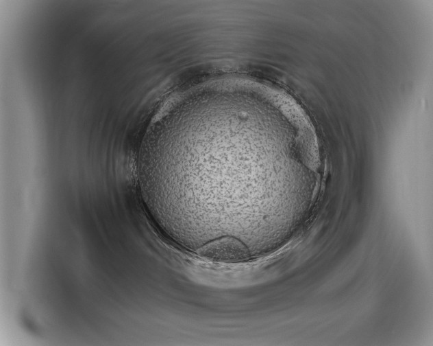 X0000115650048200911171451