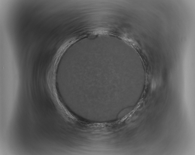 X0000115650049200911171450