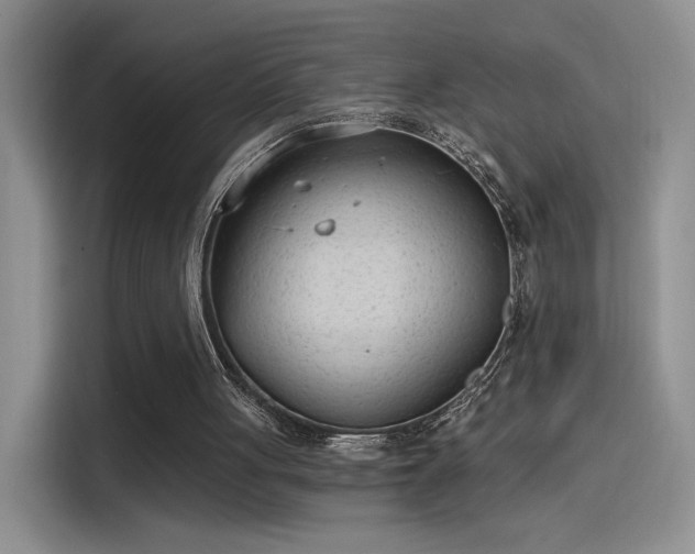 X0000115650051200911171450