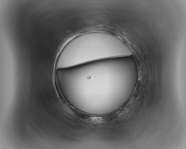 X0000115650052200911171450