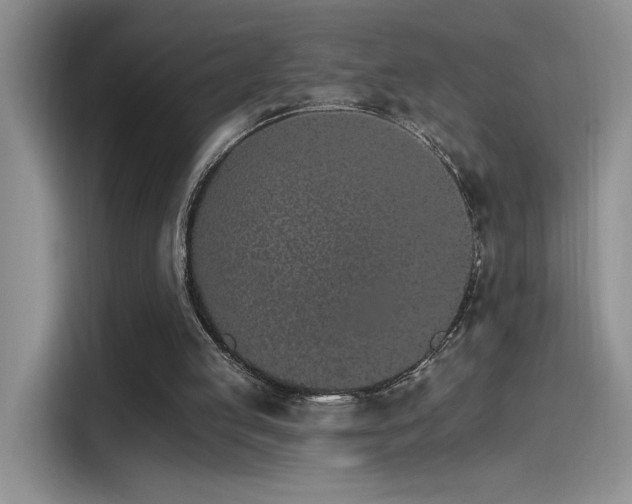 X0000115650053200911171450