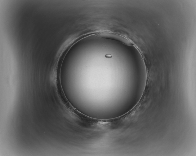 X0000115650055200911171450