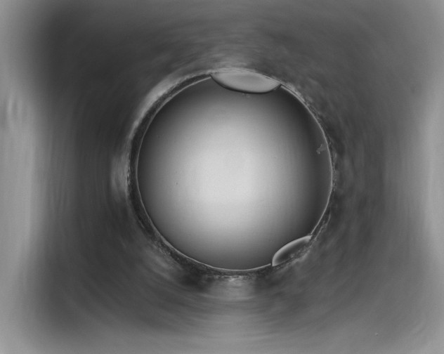 X0000115650056200911171450