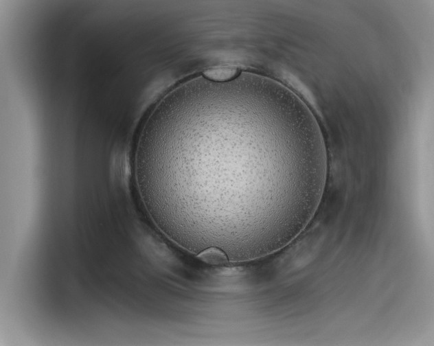 X0000115650059200911171451