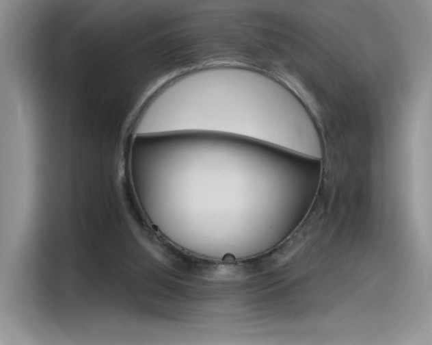 X0000115650060200911171451