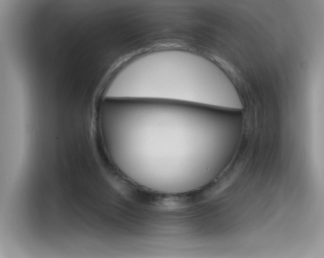 X0000115650064200911171451