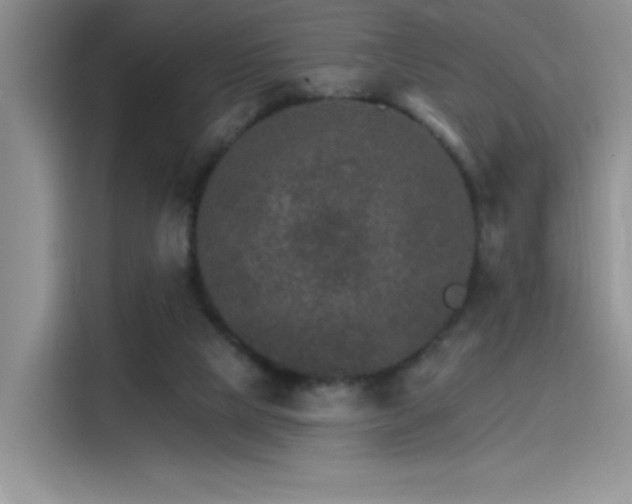 X0000115650065200911171451