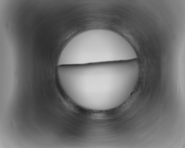 X0000115650066200911171451