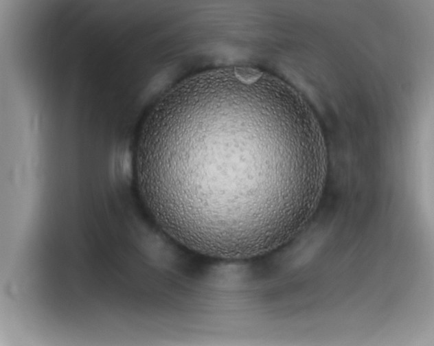 X0000115650067200911171451