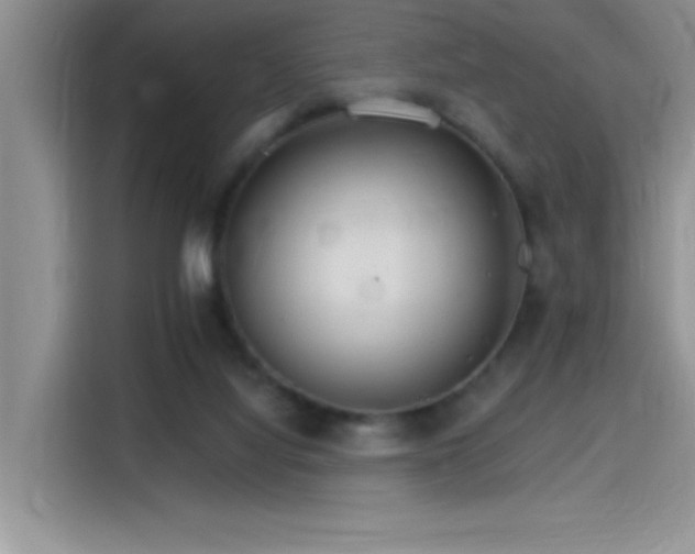 X0000115650068200911171451