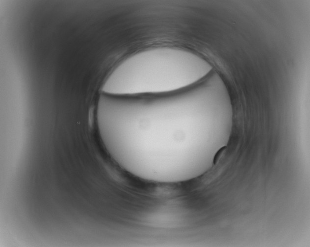 X0000115650070200911171451