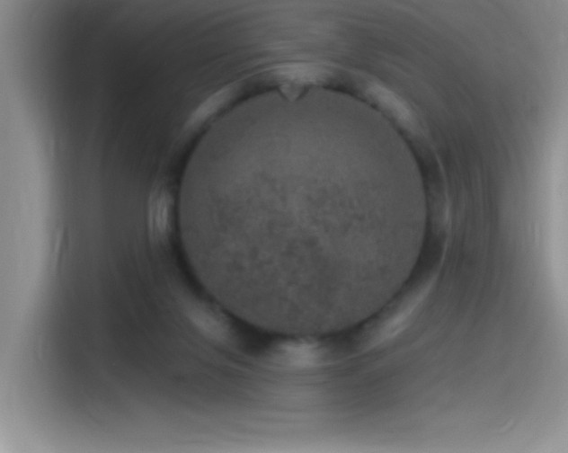 X0000115650071200911171451