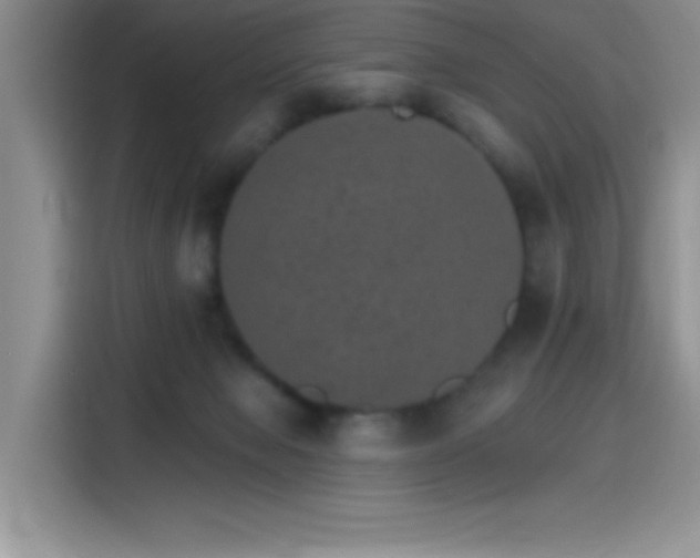 X0000115650077200911171451