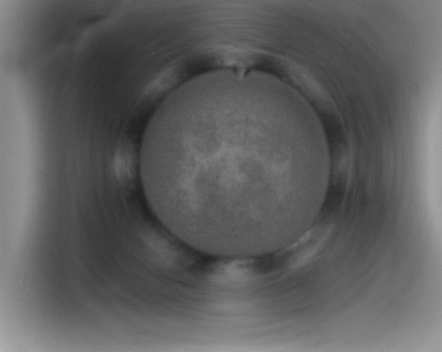 X0000115650078200911171451