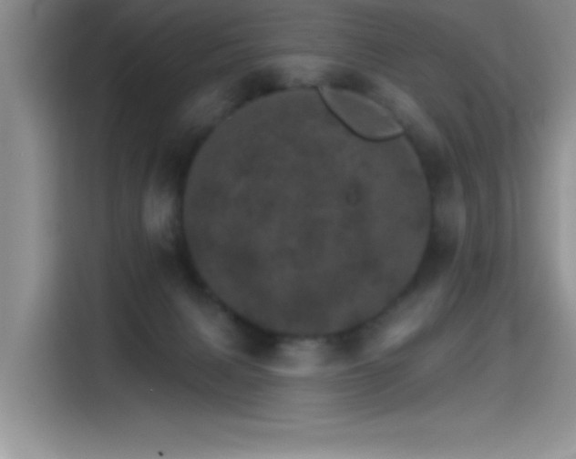 X0000115650079200911171451