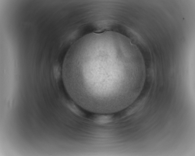 X0000115650081200911171451