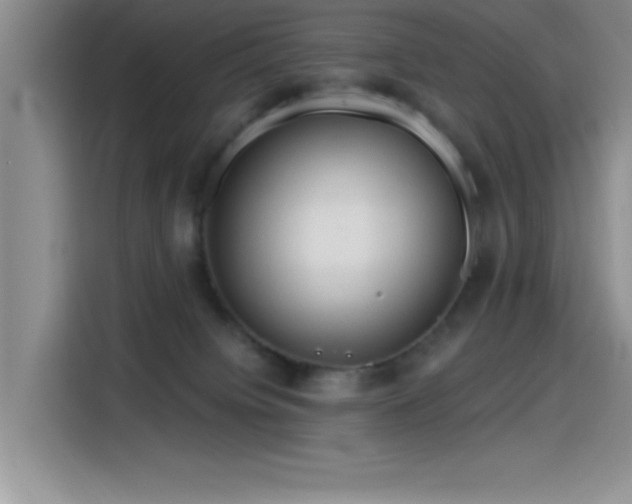 X0000115650084200911171451