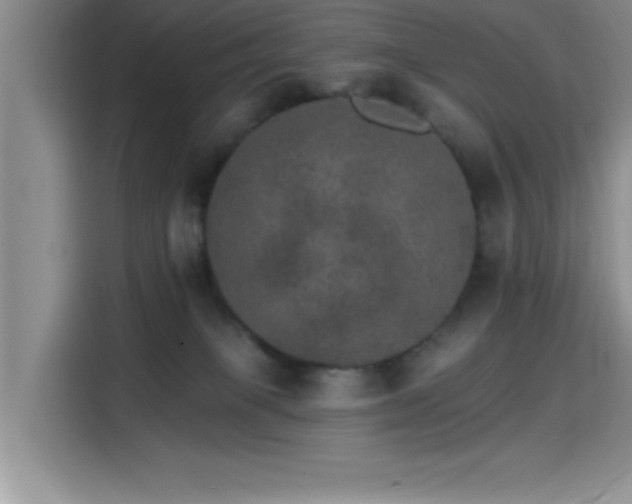 X0000115650085200911171451