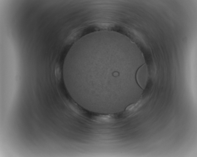 X0000115650086200911171451