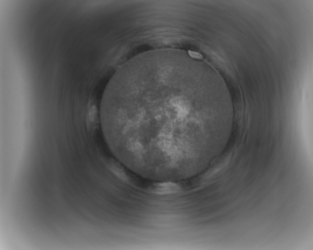 X0000115650087200911171451