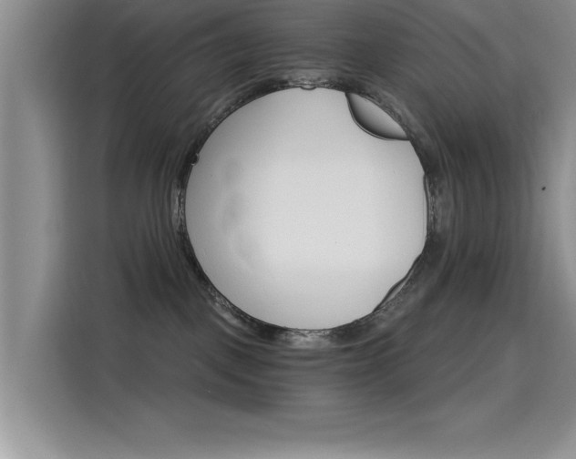 X0000115650093200911171451