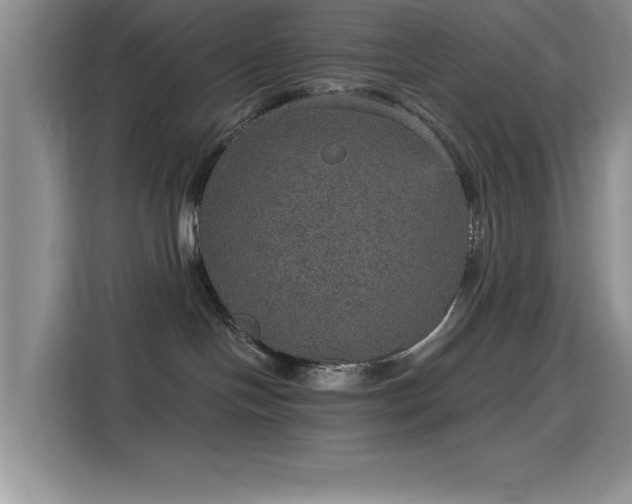 X0000115650094200911171451