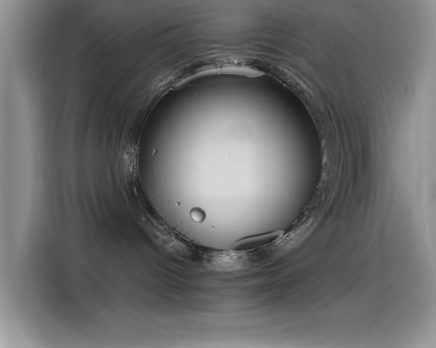 X0000115650096200911171451