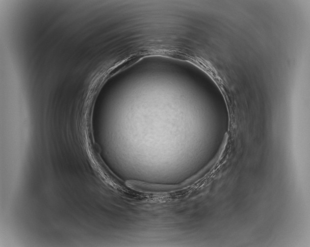 X0000115650097200911171450