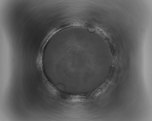 X0000115650098200911171450