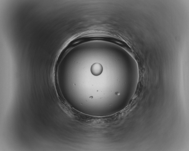 X0000115650100200911171450