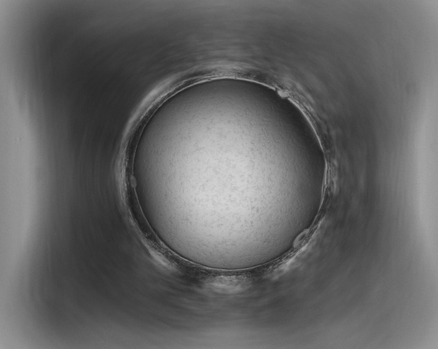 X0000115650101200911171450