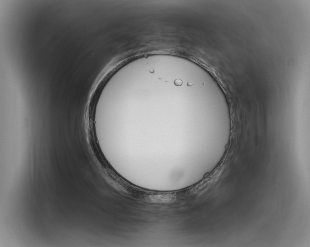 X0000115650102200911171450