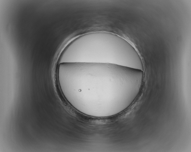 X0000115650103200911171450