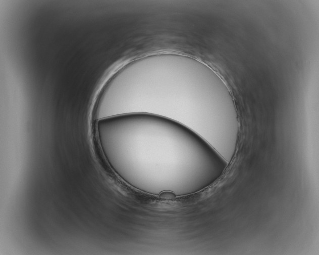 X0000115650104200911171450