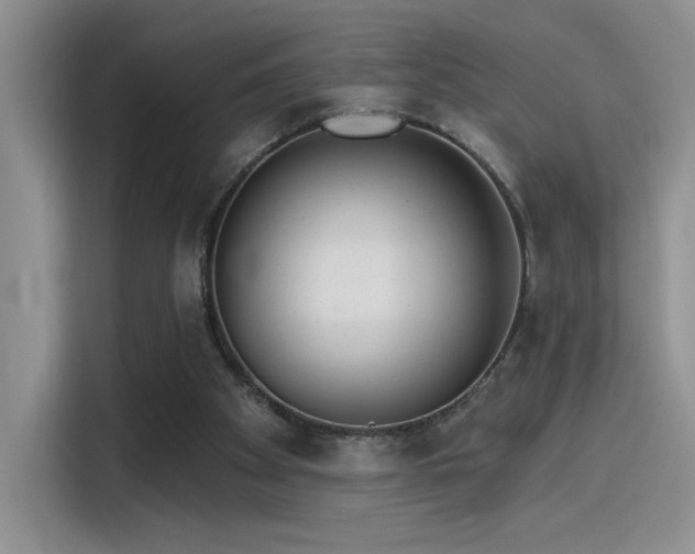 X0000115650105200911171450