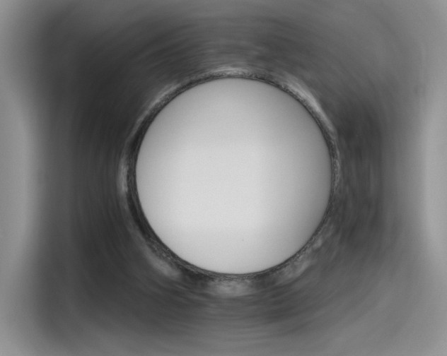 X0000115650106200911171450