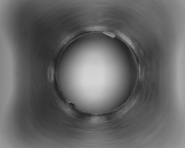 X0000115650109200911171450