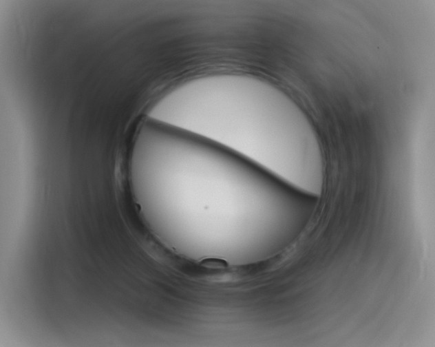 X0000115650116200911171450