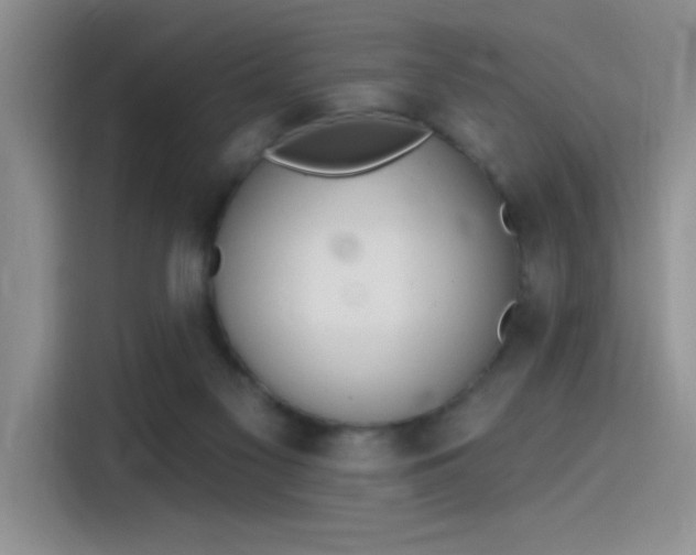 X0000115650117200911171450