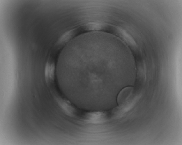 X0000115650118200911171450